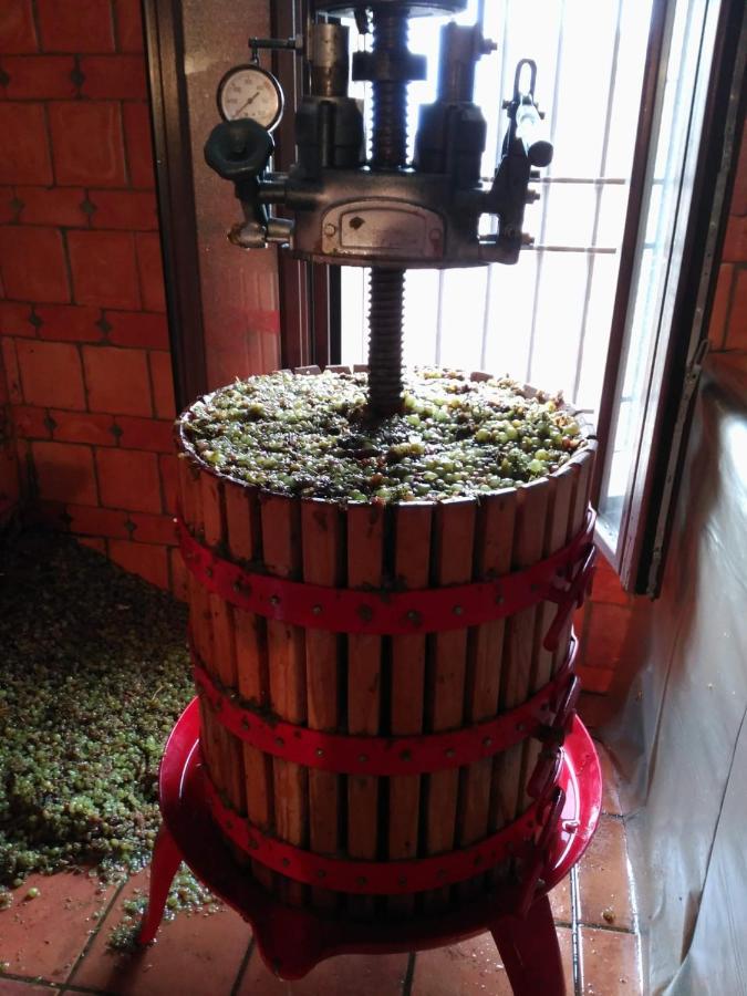 Casa Rural La Bodega, Ofrece Cata De Vino Gratis Horche Buitenkant foto